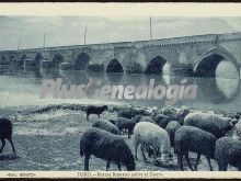 Puente romano sobre el duero de toro (zamora)