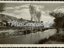 Ver fotos antiguas de parques, jardines y naturaleza en BENAVENTE