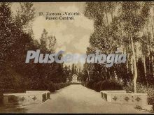 Paseo central de valorio de zamora