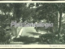 Foto antigua de HERVIDEROS DE COFRENTES