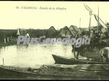 Detalle de la albufera de valencia