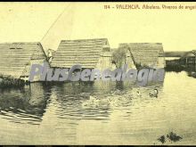 Viveros de anguilas en la albufera de valencia