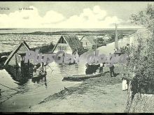 La albufera de valencia