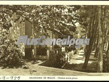 Chalets entre pinos en el balneario de bellus de valencia