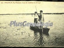 Caza de volátiles en el lago de la albufera de valencia