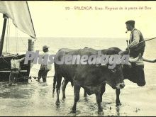 Regreso de la pesca del bou en el grao de valencia