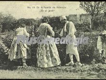 En el jardín en la huerta de valencia