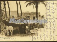 Ver fotos antiguas de Carteles, Cuadros y Postales de ELCHE