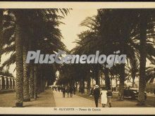 Paseo de gomiz (alicante)