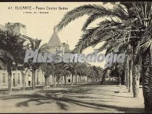 Paseo doctor gadea, (alicante)