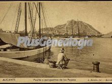 Puerto y perspectiva de los paseos, (alicante)