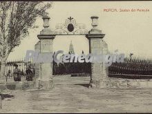 Santén del malecón, murcia