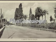 Paseo del malecon, murcia