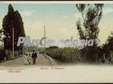 El malecón, murcia