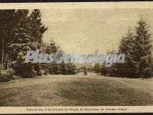 Vista de una gran avda. del parque del balneario, guitiriz (lugo)