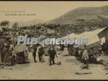 Día de mercado, oviedo (asturias)