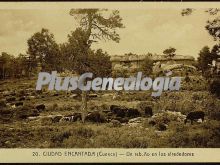 Ver fotos antiguas de Parques, Jardines y Naturaleza de CUENCA