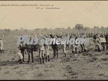 Ametralladoras de la academia de infantería de toledo