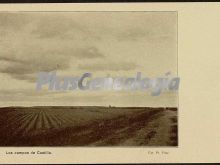 Los campos de castilla en toledo