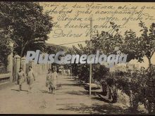 Ver fotos antiguas de parques, jardines y naturaleza en ARENYS DE MAR