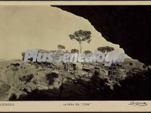 Ver fotos antiguas de parques, jardines y naturaleza en CORBERA DE LLOBREGAT