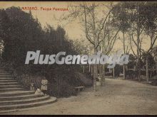 Ver fotos antiguas de Parques, Jardines y Naturaleza de MATARO