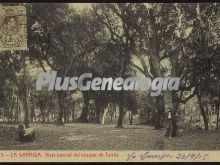 Vista parcial del Bosque de Tarrés de la Garriga (Barcelona)