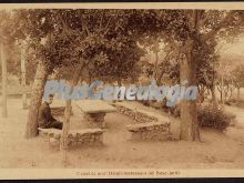 Ver fotos antiguas de Parques, Jardines y Naturaleza de CANET DE MAR