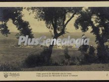 Vista general del monasterio de poblet (tarragona) desde el bosque