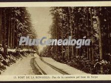 Pas de la carretera pel bosc de sorpe del puerto de la bonaigua (lleida)