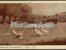 Ver fotos antiguas de Parques, Jardines y Naturaleza de CERDAÑA