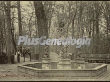 Jardín de la Isla con la Fuente de Neptuno en los Jardines del Palacio de Aranjuez (Madrid)