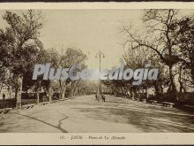 Ver fotos antiguas de parques, jardines y naturaleza en JAEN