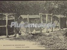 Parque callinero en el balneario de marmolejo (jaén)