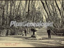 Paseo de los hoteles de la alhambra de granada