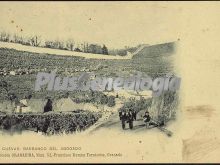 Cuevas: barranco del abogado en granada