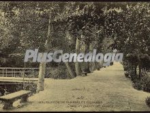 Paseo y puente del parque de balnearios de alhama (granada)