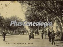 Paseo de la alameda en málaga