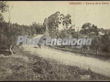 Ver fotos antiguas de parques, jardines y naturaleza en CORDOBA