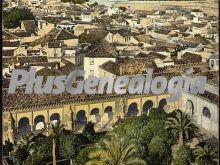 Vista general desde la torre de la mezquita de córdoba