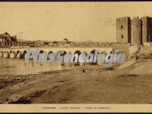 Puente romano y torre de carraola en córdoba