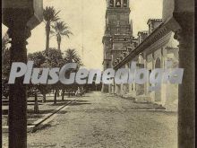 Jardines y torre de la mezquita de córdoba
