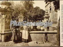 Fuente pública en el patio de los naranjos en córdoba