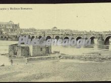 Calahorra. puente y molinos romanos