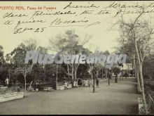 Paseo del porvenir de puerto real