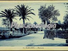 La alameda de algeciras