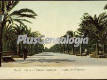 Parque genovés - paseo de las palmeras de cádiz