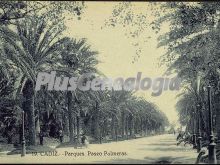 Parque paseo de las palmeras de cádiz
