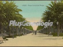 Paseo central del parque de cádiz