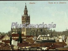 Vista de la catedral de sevilla